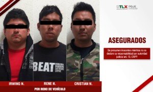 asegurados-vehiculo-medios