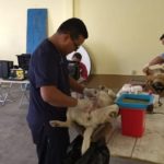 esterilización tlaxco (1) bien