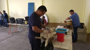 esterilización tlaxco (1) bien