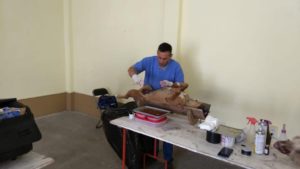 esterilización tlaxco (2) bien