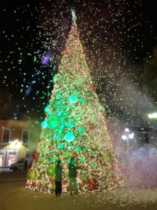 01122020_SEGOB_2
