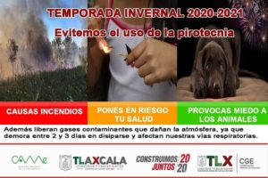 31122020_BOLETÍN_CEPC_CGE_02