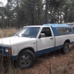 IMG-20210217-WA0095