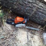 IMG-20210217-WA0099