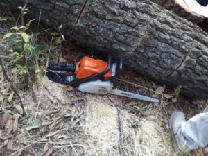 IMG-20210217-WA0099