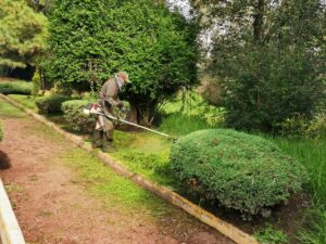 14032021_BOLETÍN_CGE_03