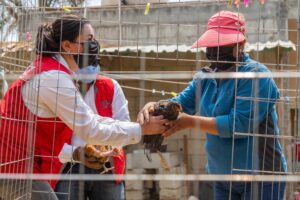 210329_SUPÉRATE_ENTREGA_AVES_01