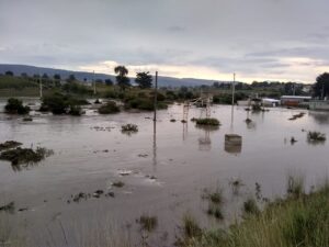 IMG-20210929-WA0119