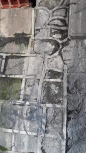 Photo_1631890324769