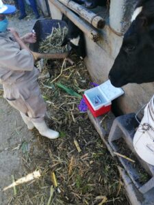 IMG-20211006-WA0138