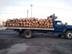 IMG-20211211-WA0005