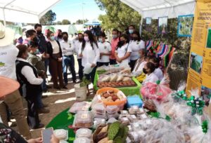 Sefoa_NOPAL_311221_1