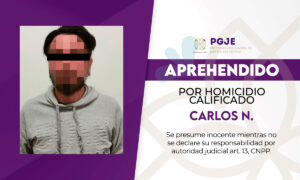 aprehendido