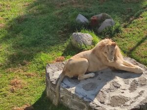 130122_ZOOLÓGICO_1