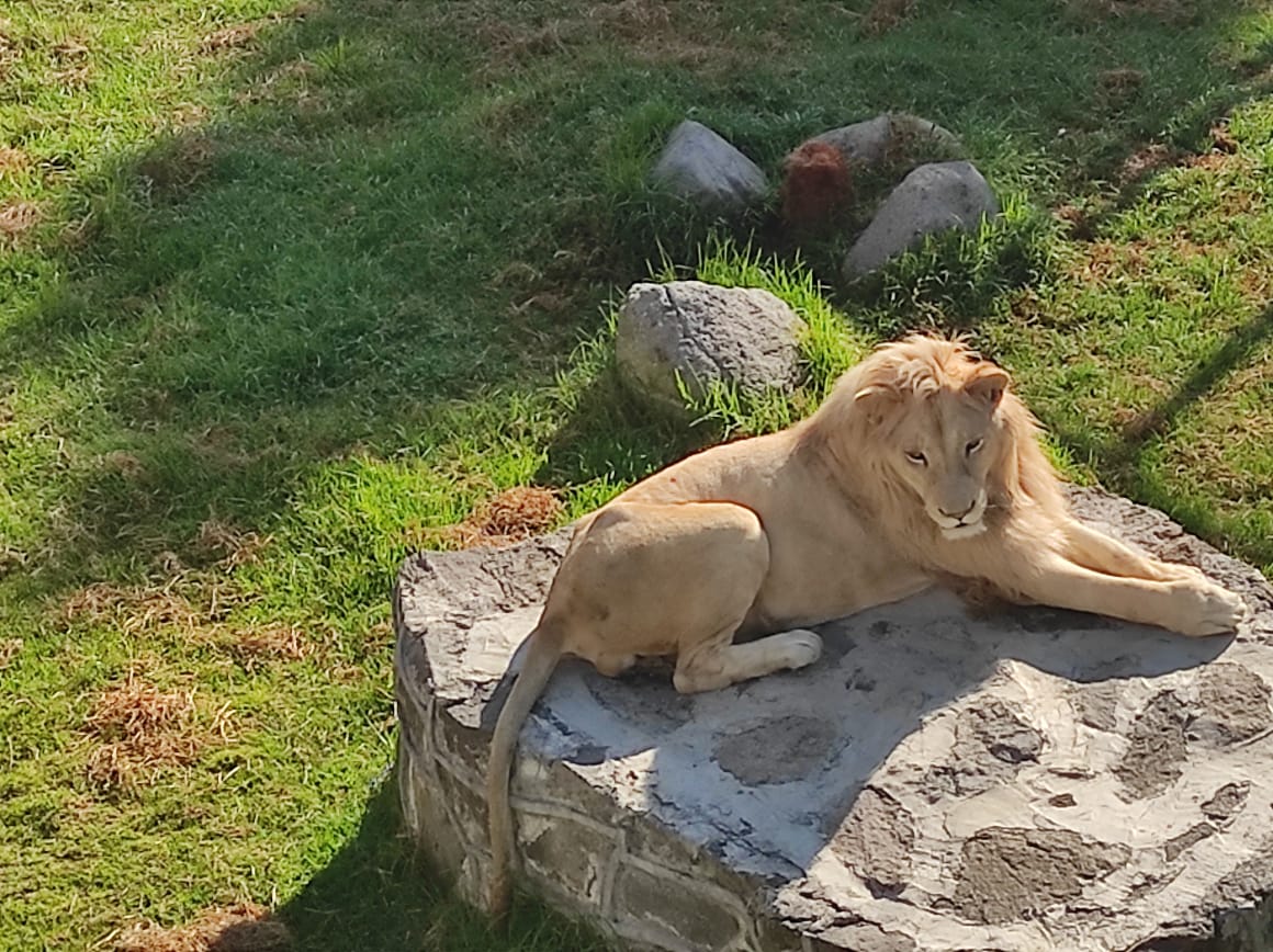 130122_ZOOLÓGICO_1