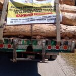 270122_SSC_MATERIAL FORESTAL 3