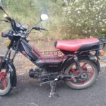 WhatsApp Image 2022-01-26 at 11.27.32 AM (1)