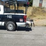 IMG-20220221-WA0016