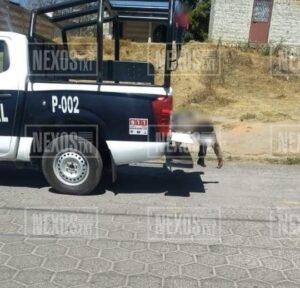 IMG-20220221-WA0016