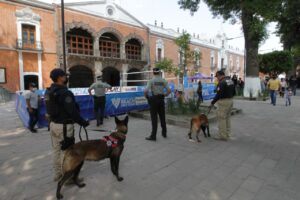 180322_SSC_ACTIVIDADES 1
