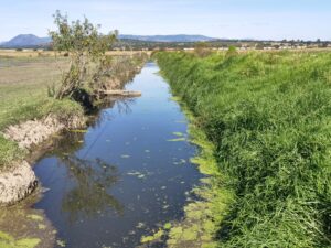 280322_SMA_CALIDAD AGUA