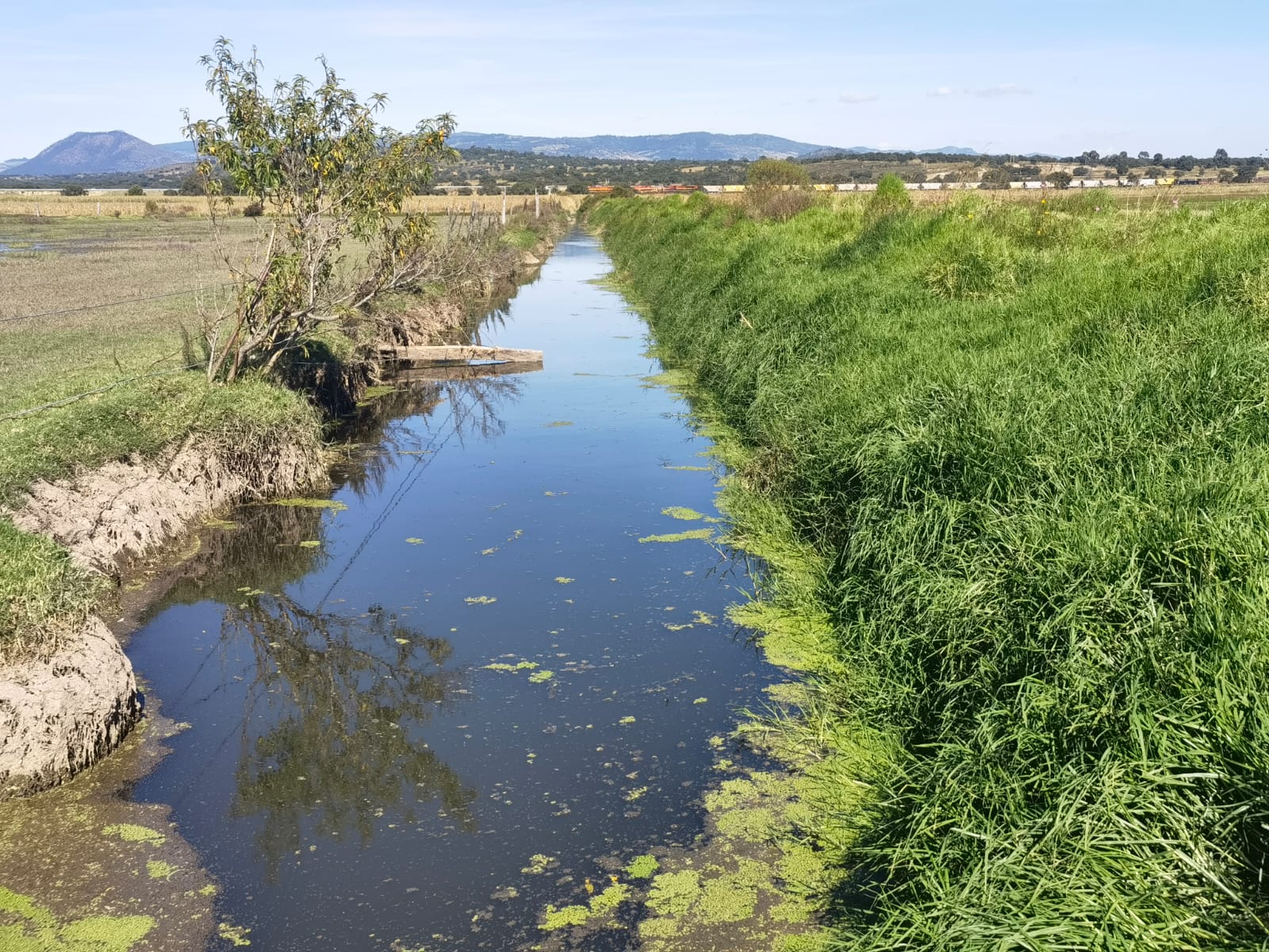 280322_SMA_CALIDAD AGUA