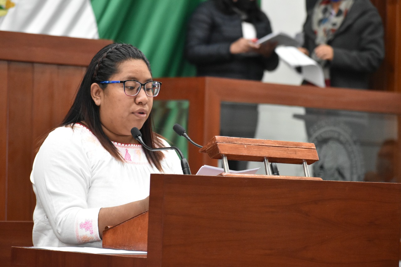 DIP. BRENDA CECILIA VILLANTES RODRÍGUEZ 1