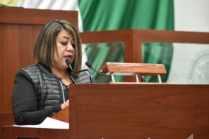 DIP. MARIBEL LEÓN CRUZ 1