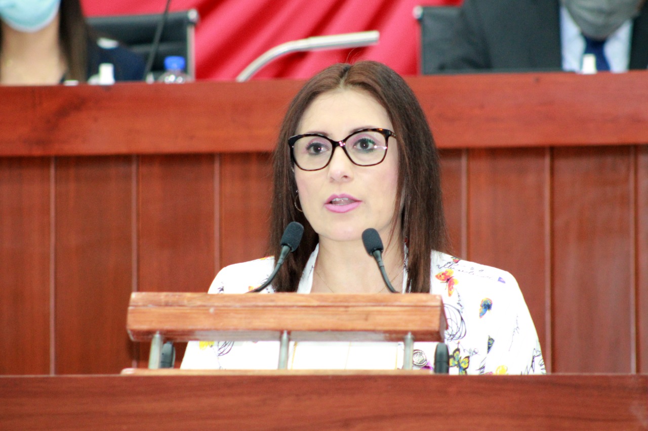 DIP. REYNA FLOR BAEZ 3