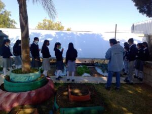 160422_SEPE_USET_INVERNADEROS 1