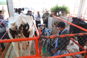 030522_SIA_CALIDAD_LECHE_1