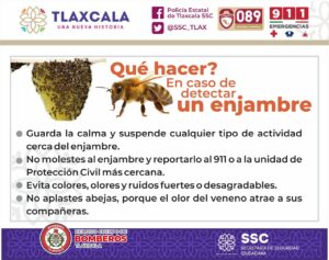 36c52fd8-4766-482f-8886-48215674e48e.jfif