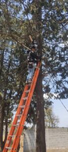 IMG-20220526-WA0062
