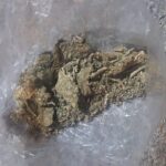 PUESTA 8.jfif