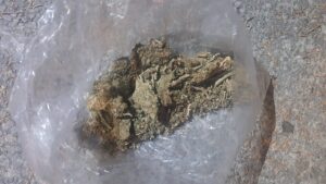 PUESTA 8.jfif