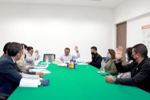 COMISION ESPECIAL