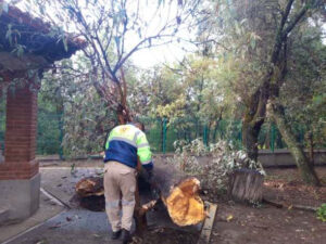 WhatsApp Image 2022-06-03 at 5.24.04 PM