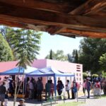 WhatsApp Image 2022-08-11 at 10.53.15 (2)