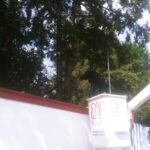 IMG-20221006-WA0023
