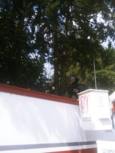 IMG-20221006-WA0025