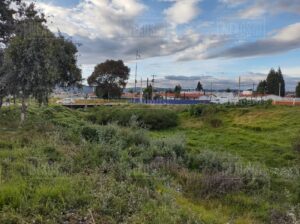 Photo_1665576867480