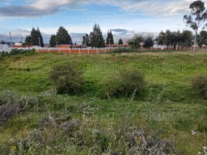 Photo_1665576869691