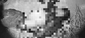 IMG-20221218-WA0002