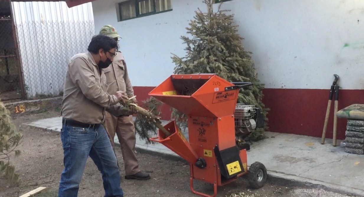 sma-reciclado-de-arboles-de-navidad-
