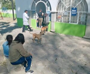 vacuna-antirrabica-tlaxcala