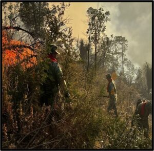 incendio-tlaxco-010-02-2023
