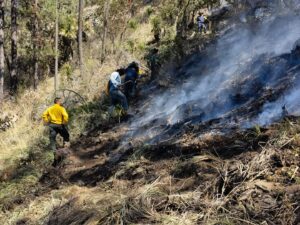 incendio-tlaxco-80-por-ciento