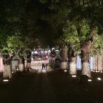 Photo_1680146390128