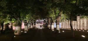 Photo_1680146390128