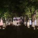 Photo_1680146405428
